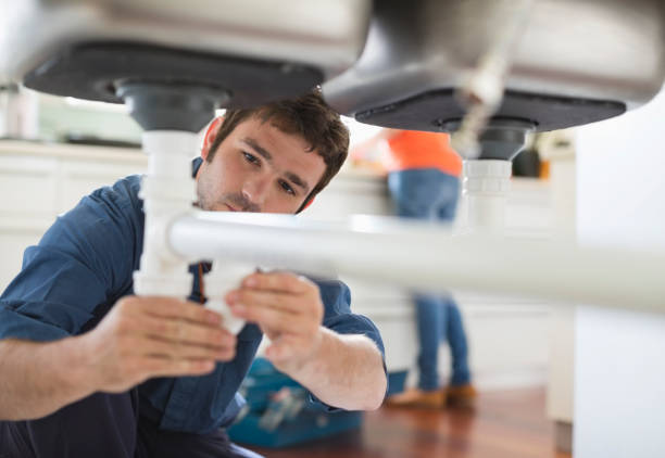 Best Plumbing Inspection Services  in Elmer, NJ