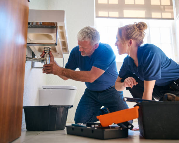Best Clogged Drain Plumber  in Elmer, NJ